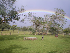 Back Yard Rainbow!!