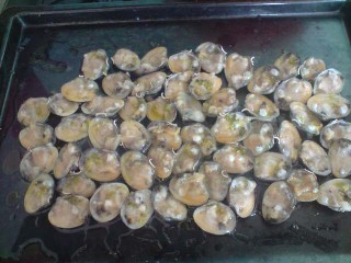 [palourdescombawa.jpg]