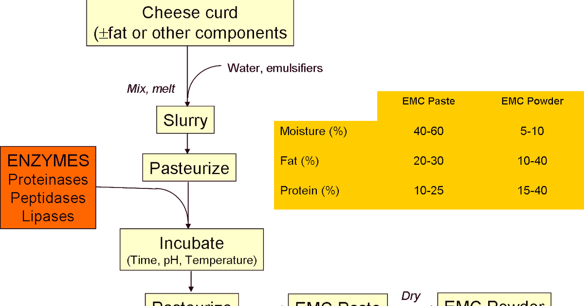Enzymemodified cheese