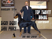 BADEN BADEN DARK PRINCE