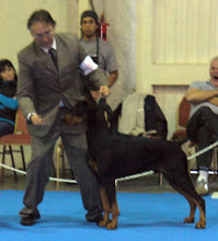 BADEN BADEN DARK PRINCE