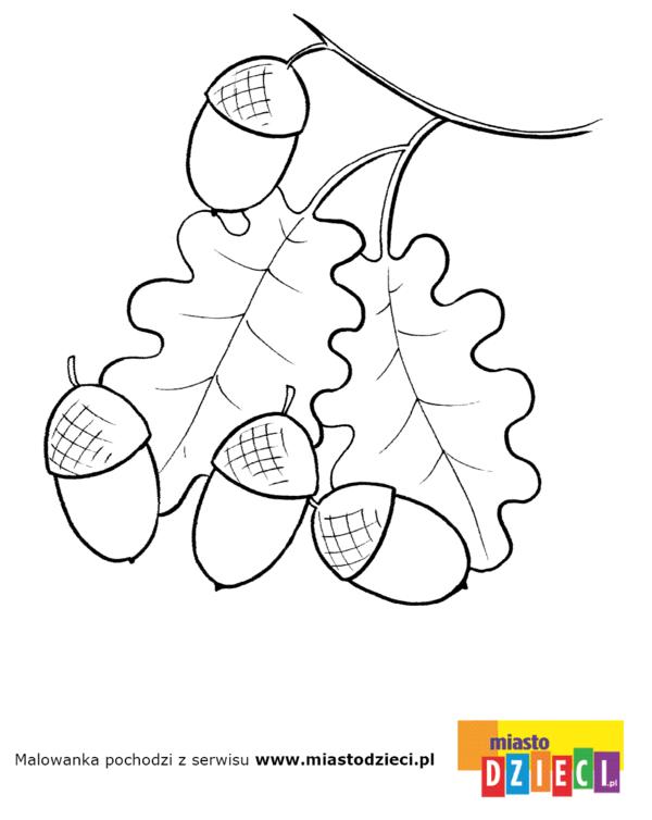 [261zoledzie_nowe.GIF.jpeg]