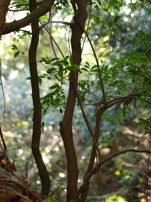 [PC149908.JPG]