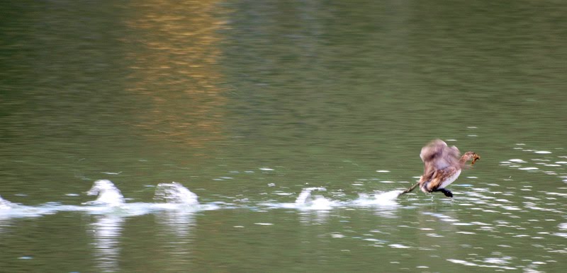 [PC170562.JPG]