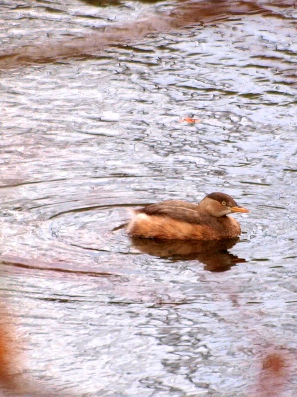 [PC190821.JPG]