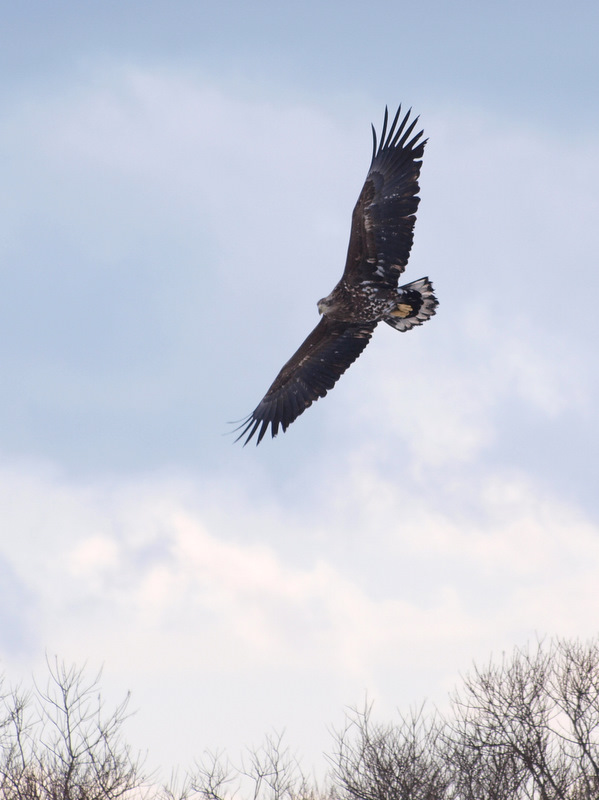 [P1276175-1.JPG]