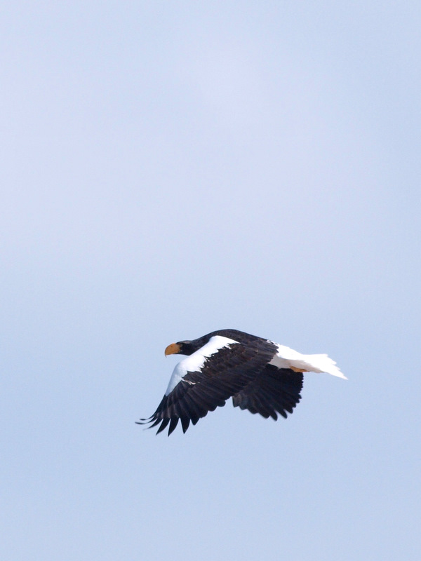 [P2274133.JPG]