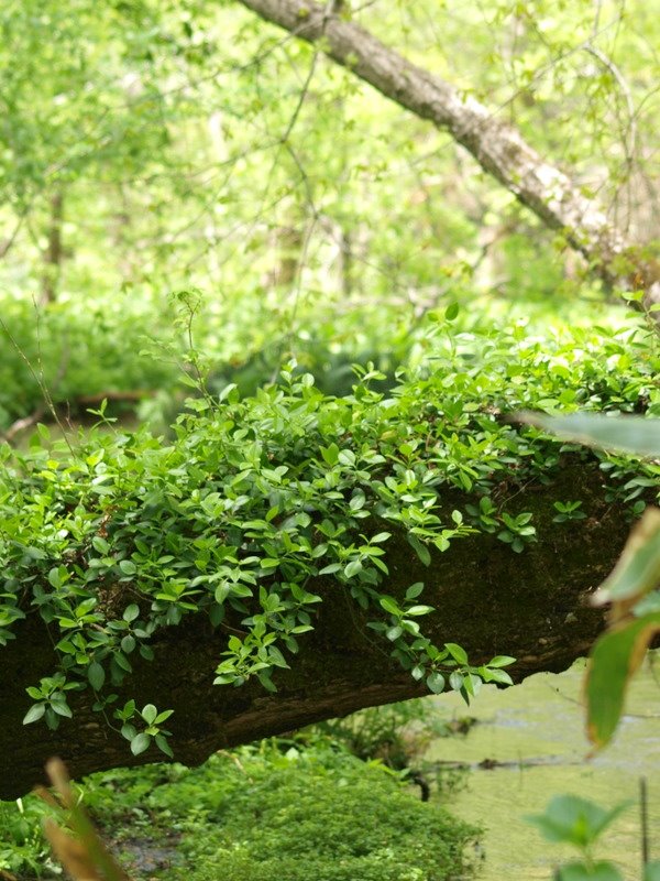 [P5192166.JPG]