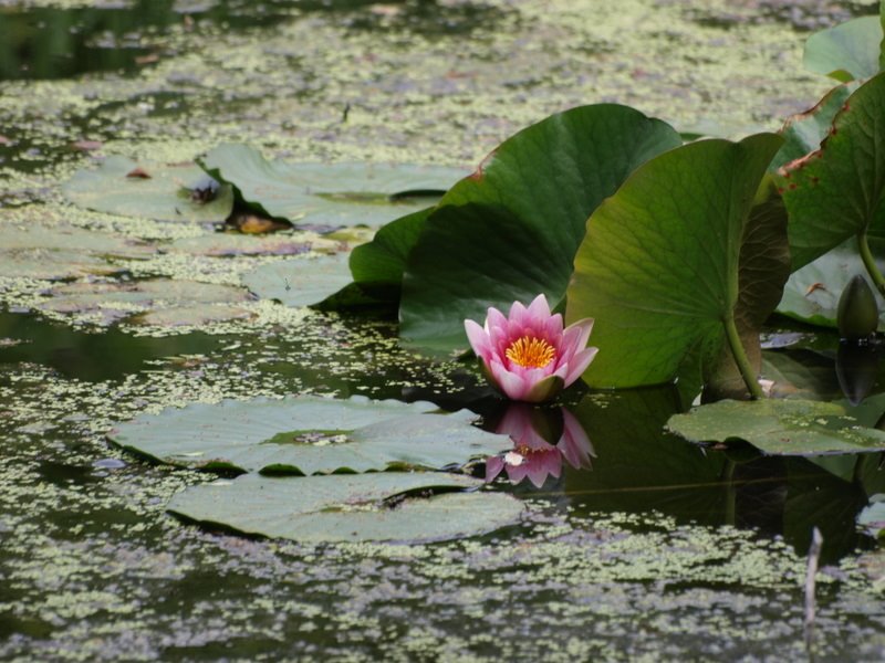 [P7024230.JPG]