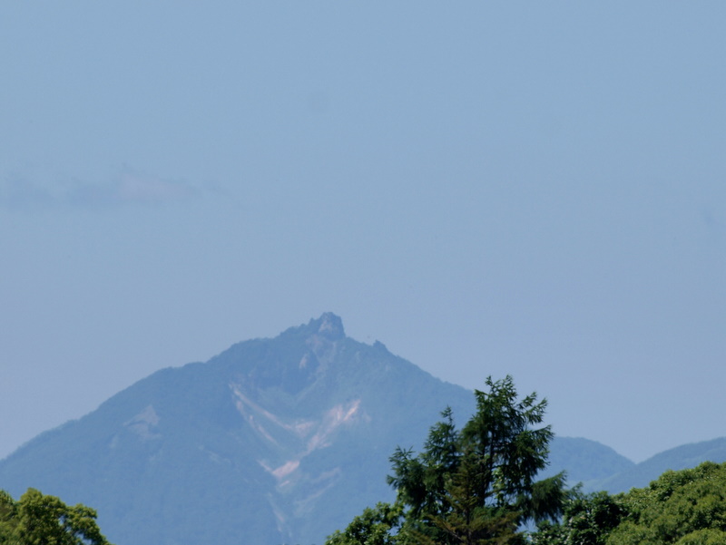 [P7177618.JPG]