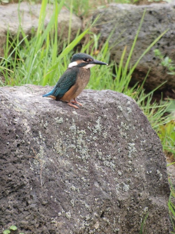 [P8315468.JPG]