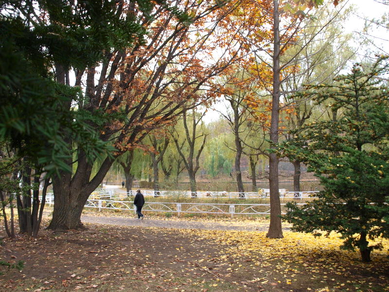[PB054188.JPG]