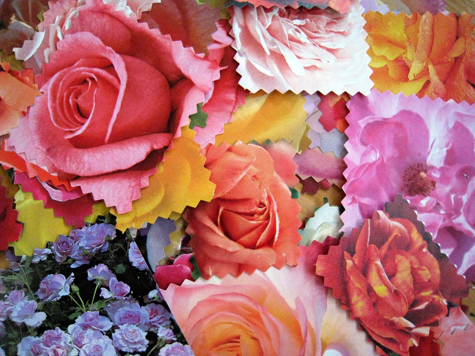 4 Crazy Kings Spring Flower Collages