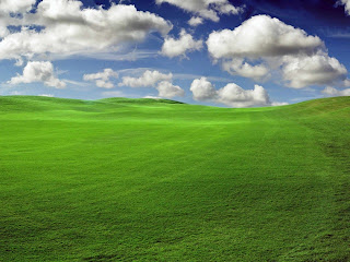Windows Vista Green Wallpaper