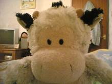 Mini Moo