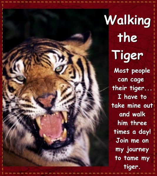 Walking the Tiger