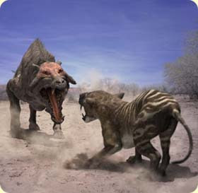 these beasts are extremely