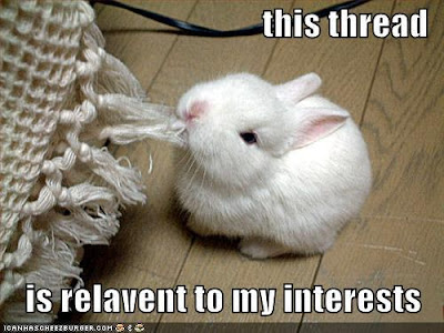 funny-pictures-rabbit-eats-thread.jpg