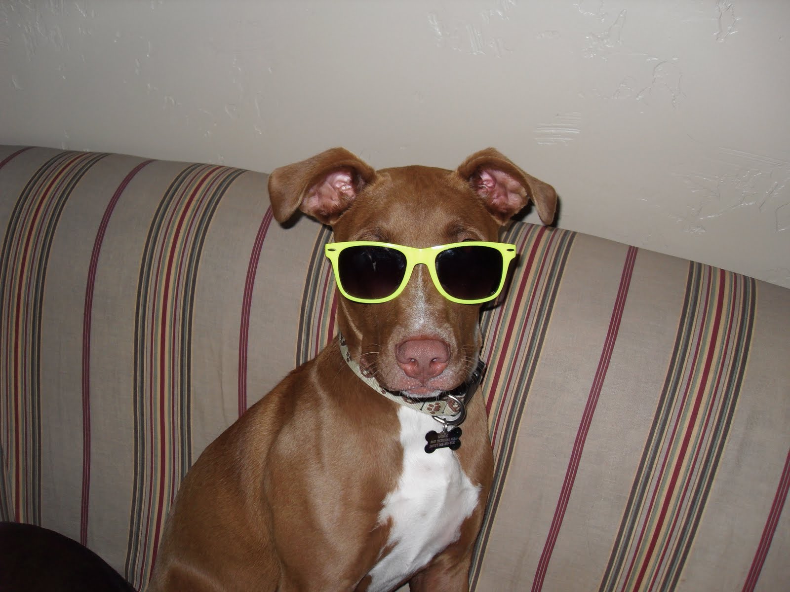 DUKE