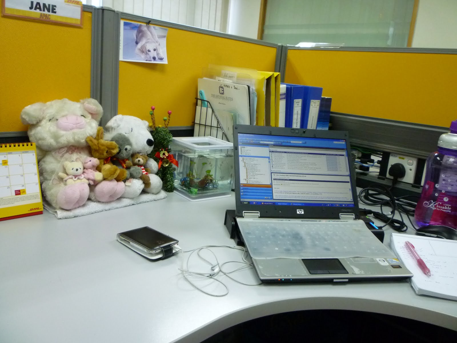 [P1000055.JPG]