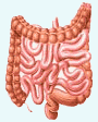 Associação Portuguesa de Doença Inflamatória do Intestino