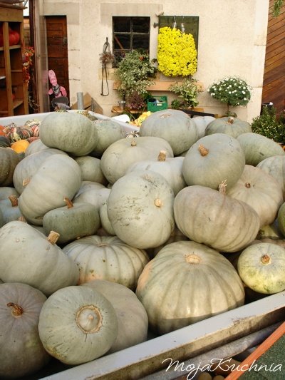 [CourgeJarrahdale.jpg]