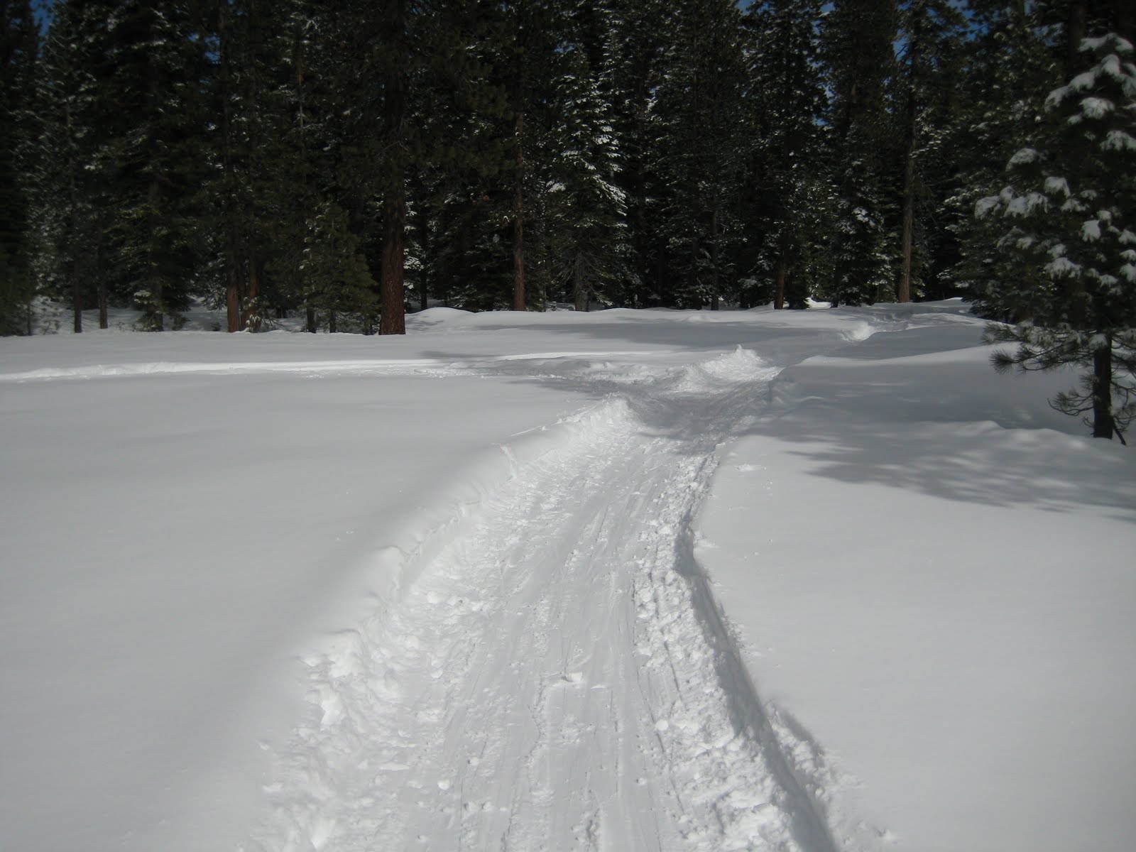 [IMG_9784.jpg]