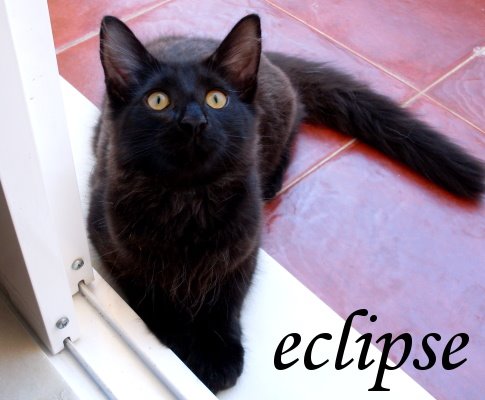 [1eclipse.JPG]