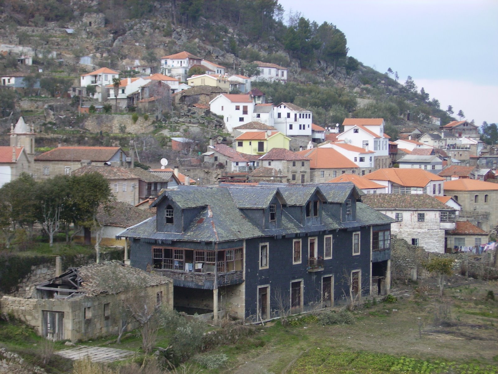[PICT0084.JPG]