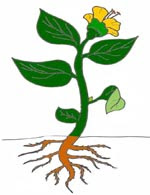 CLICA SOBRE DE LA IMATGE