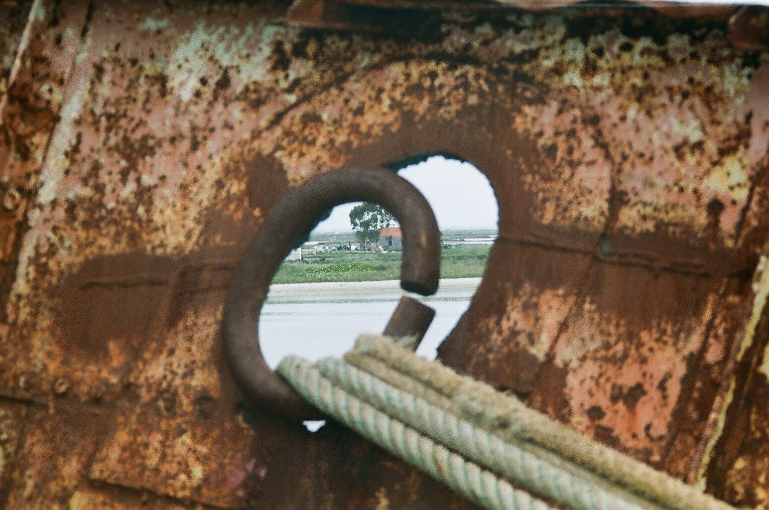 [16610022_.JPG]