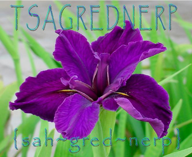 Tsagrednerp [Sah - gred - nerp]