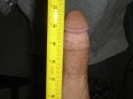 Average erect penis size