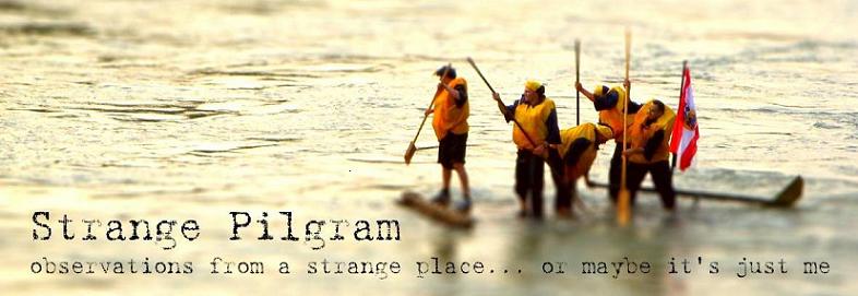 Strange Pilgram