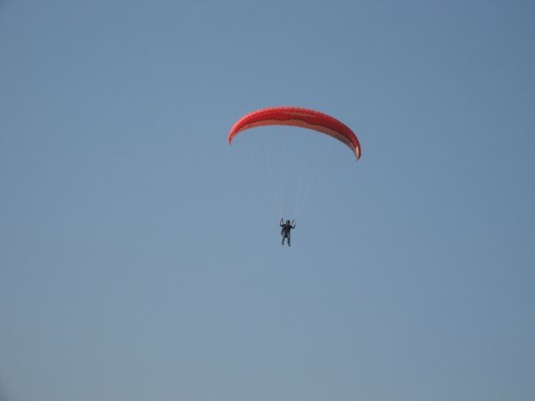 [n515029741_1048323_6311.jpg]