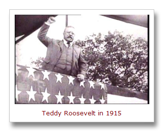teresamerica: Theodore Roosevelt on the Hyphenated American and Americanism