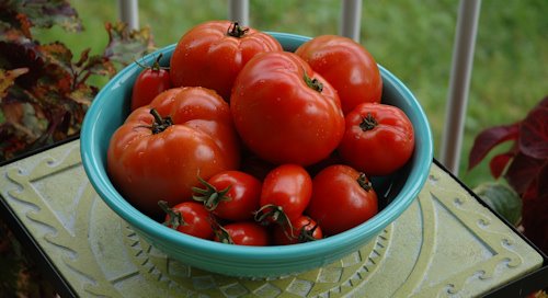 [tomato_bowl_3.jpg]