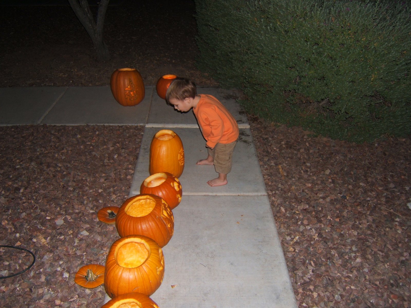 [DSCF2914.JPG]