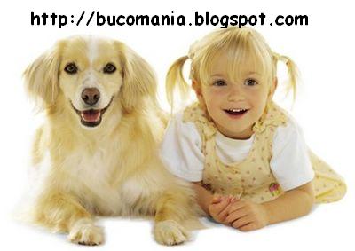 [almagemea01BUC.JPG]