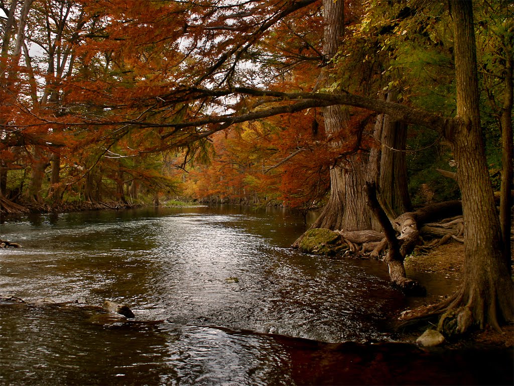 [guadriver+copy.jpg]