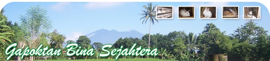 Gapoktan Bina Sejahtera