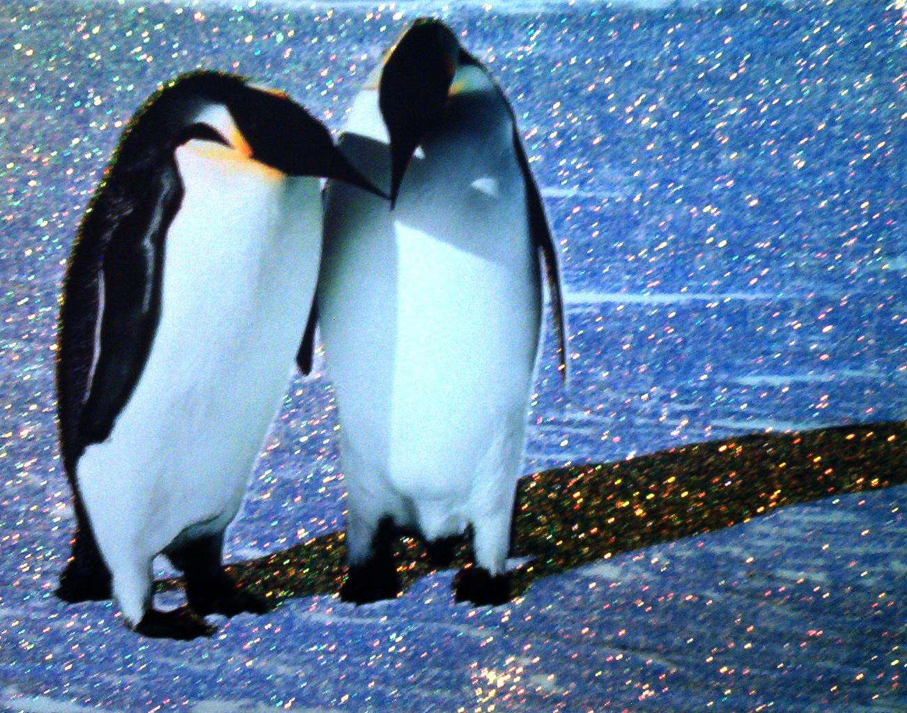 [penguins.JPG]