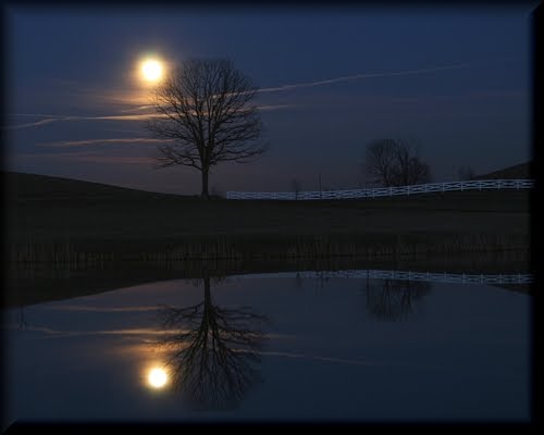 Moonlight