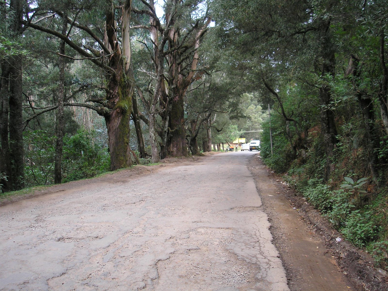 [Typical+Ghat+Road..ll.JPG]