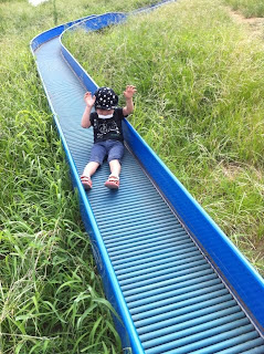 越谷市西大袋第七公園のすべり台を滑る息子