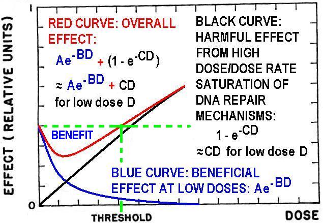 [radiation+effects.JPG]