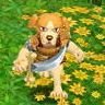 [strongswordsmankoaren38.JPG]