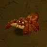 [spider60.JPG]