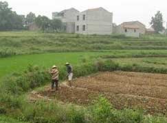 [WEB-2-farmers_Adrian-Ely_Ch.jpg]