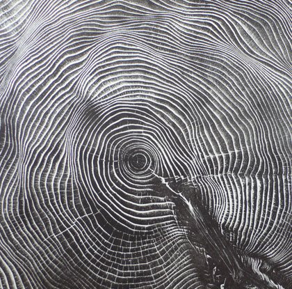 [Bryan-gill-L1070101.jpg]